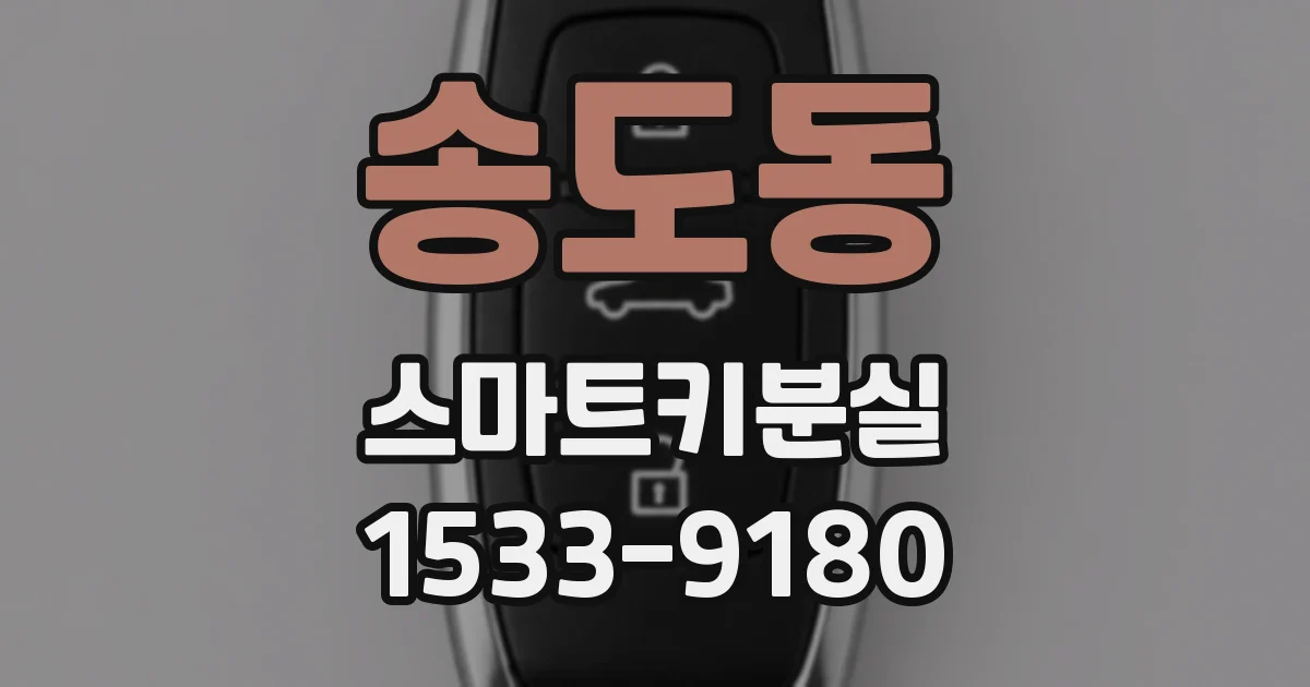송도동 스마트키분실