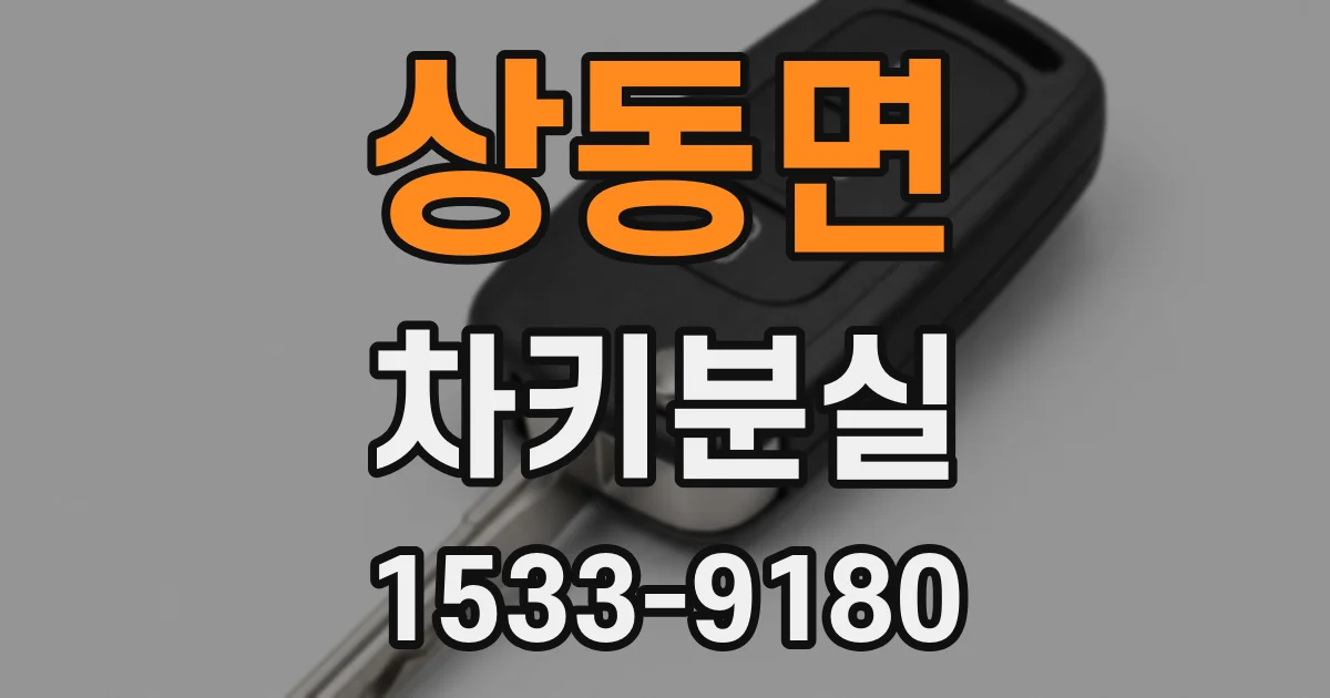상동면 차키분실