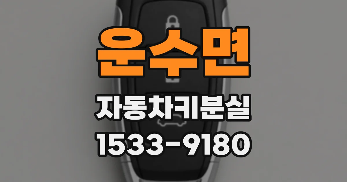 운수면 자동차키분실