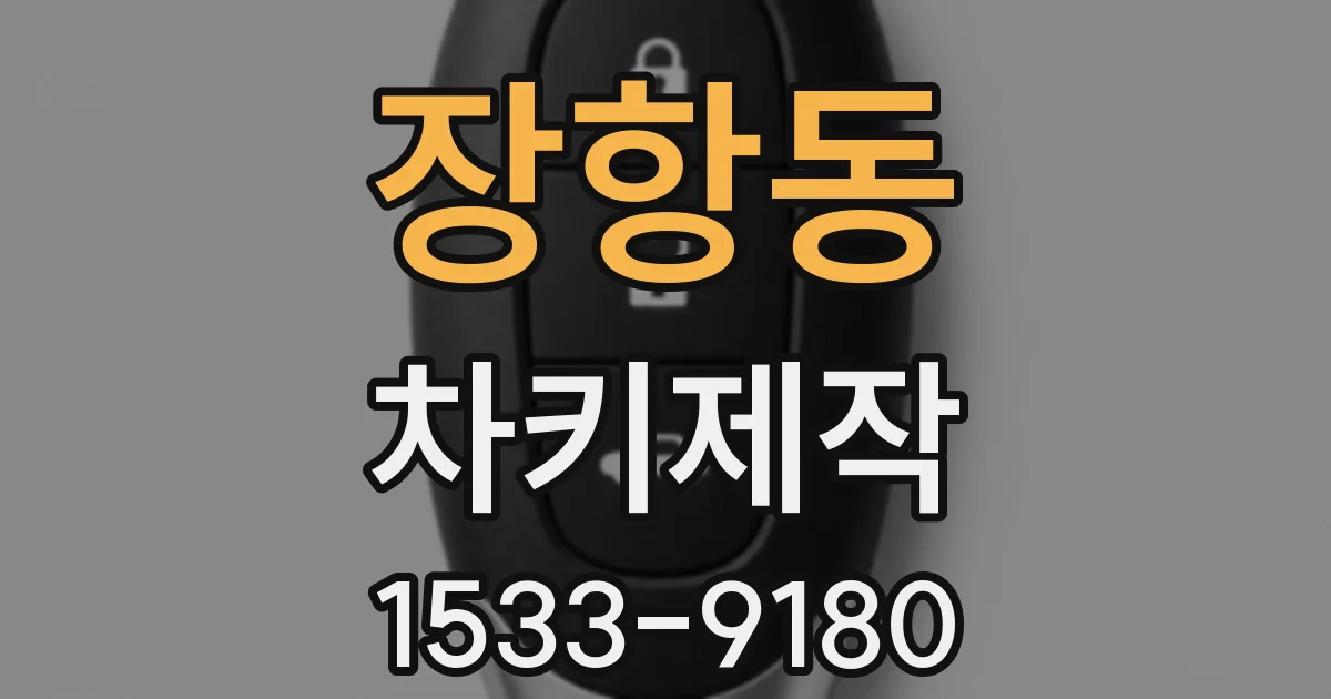장항동 차키제작