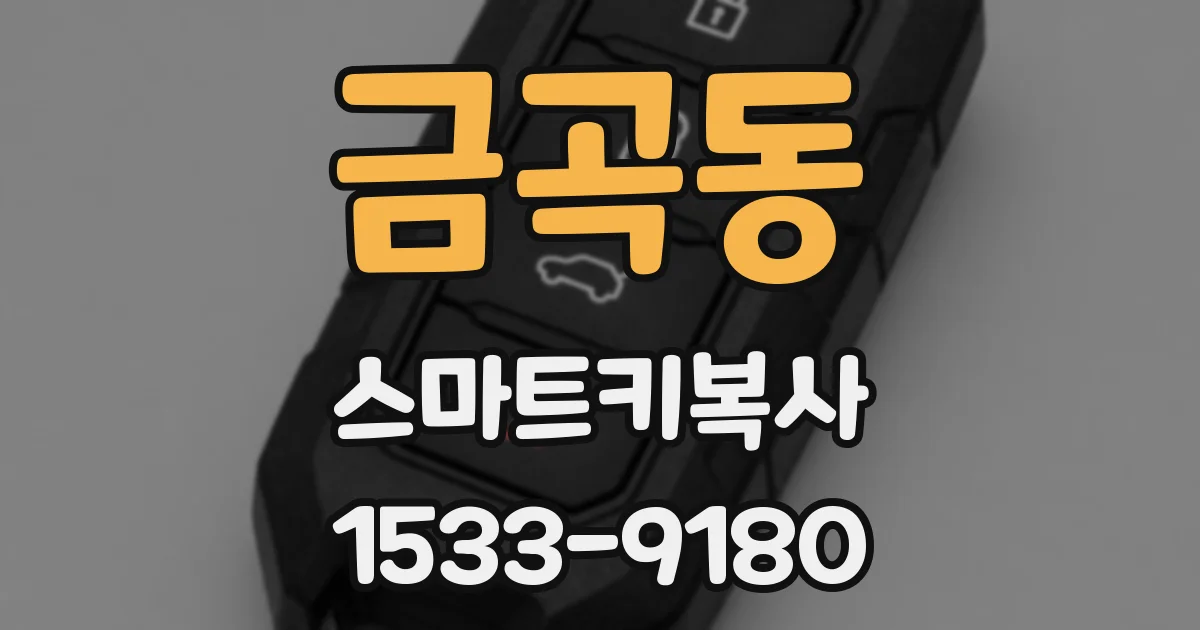 금곡동 스마트키복사