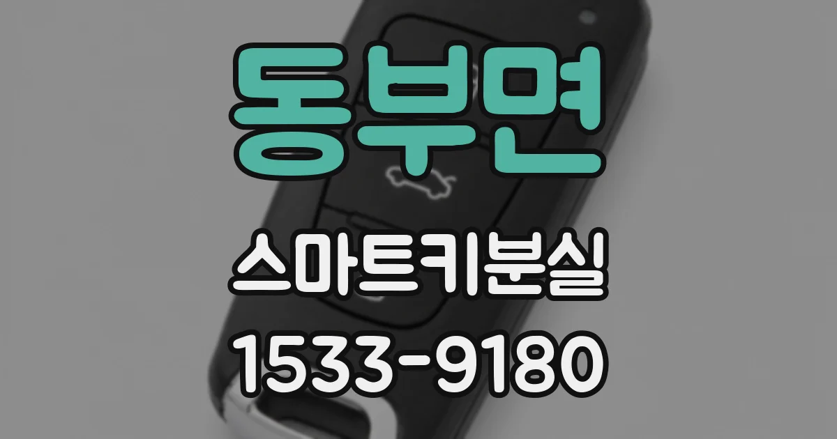 동부면 스마트키분실