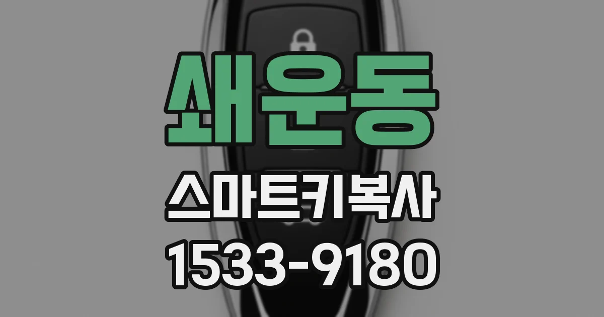 쇄운동 스마트키복사