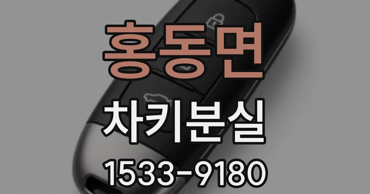 홍동면 차키분실