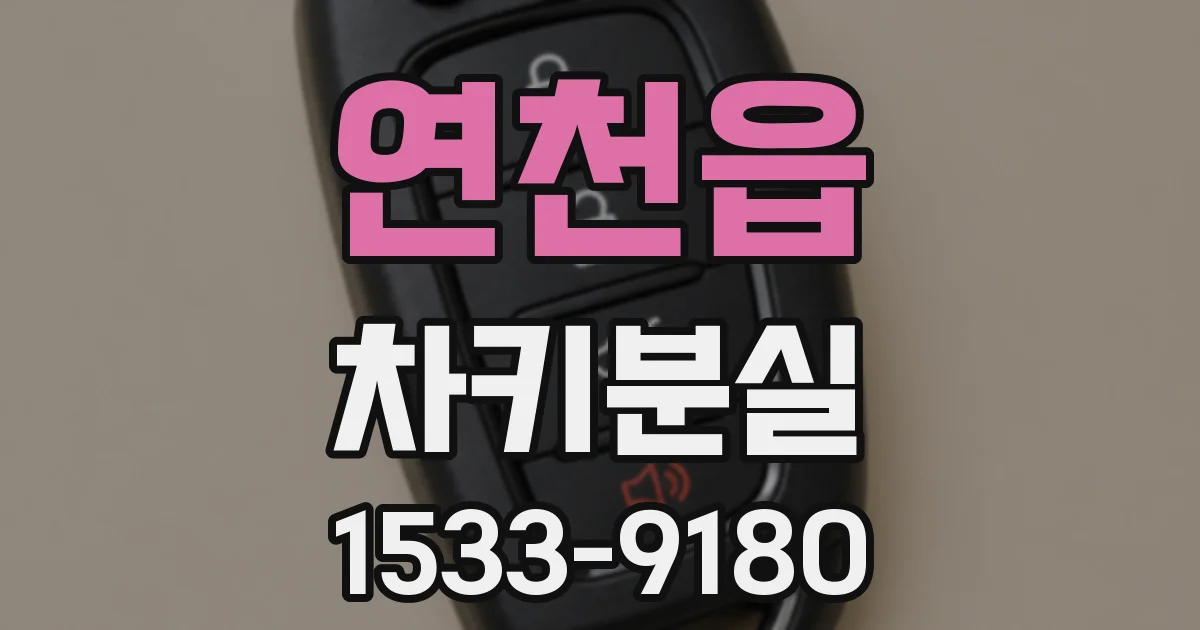 연천읍 차키분실