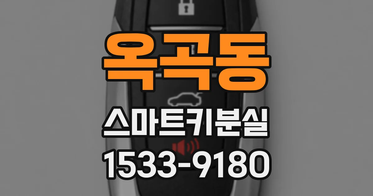옥곡동 스마트키분실