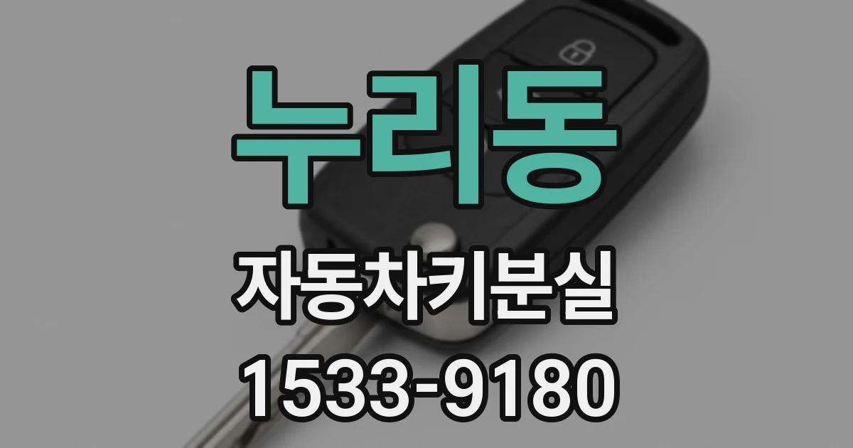 누리동 자동차키분실