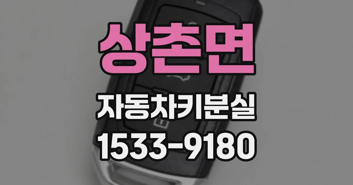 상촌면 자동차키분실