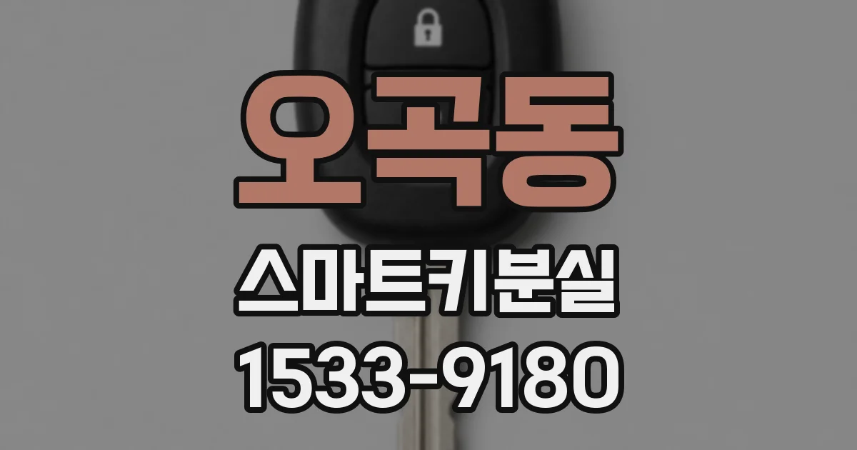 오곡동 스마트키분실