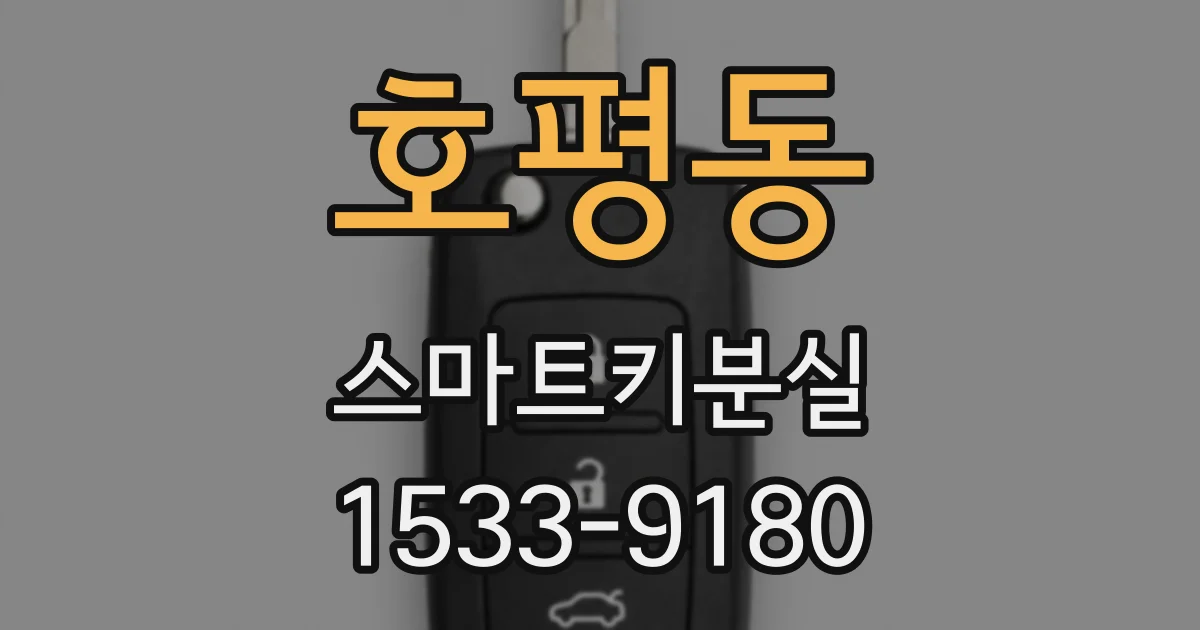 호평동 스마트키분실