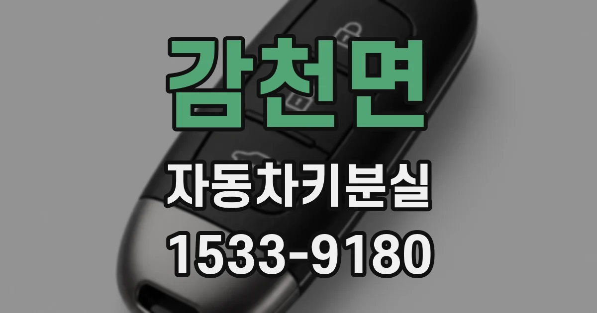 감천면 자동차키분실