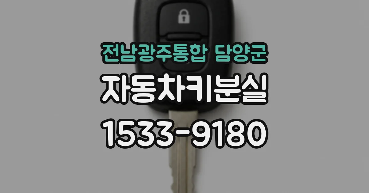 전남광주통합 담양군 자동차키분실