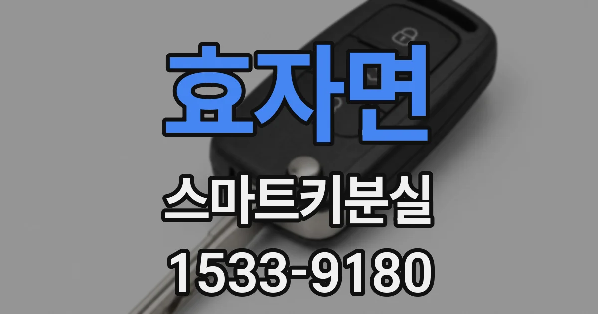 효자면 스마트키분실
