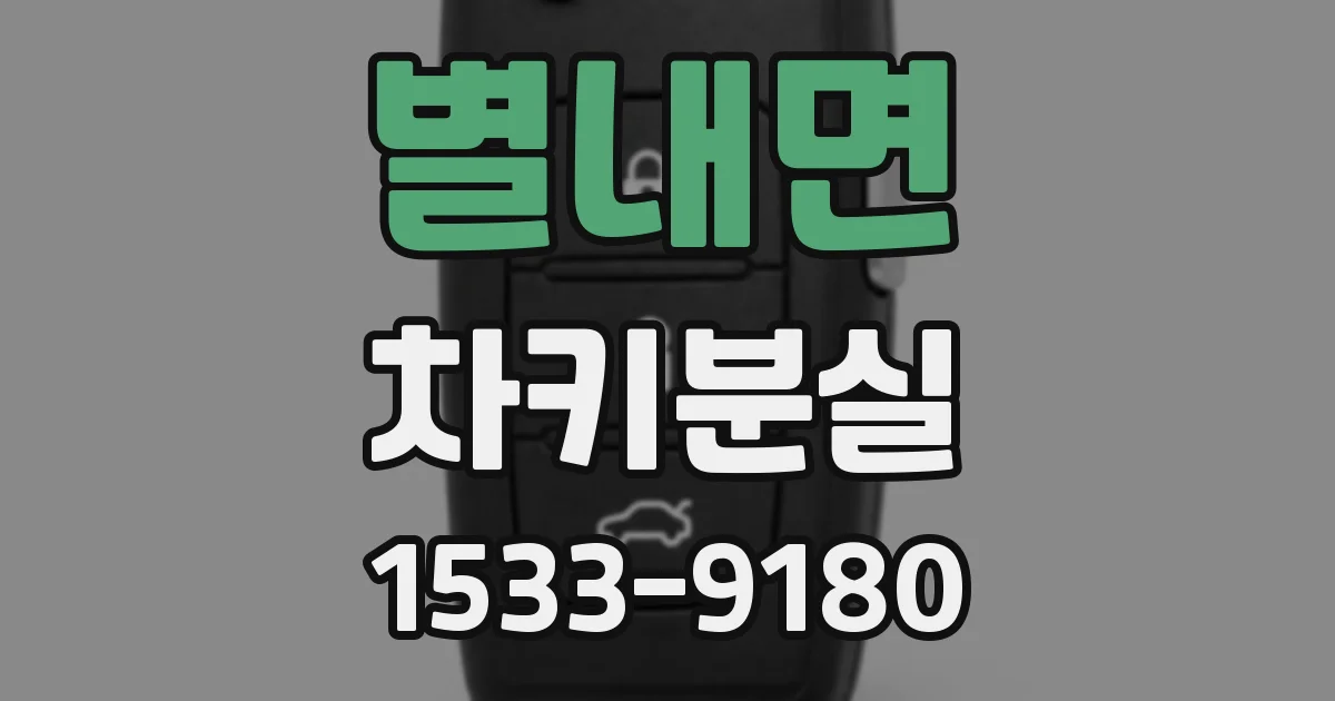 별내면 차키분실