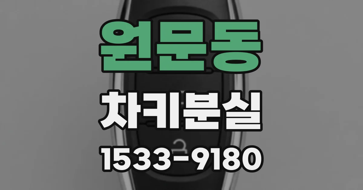 원문동 차키분실