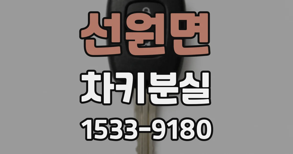 선원면 차키분실