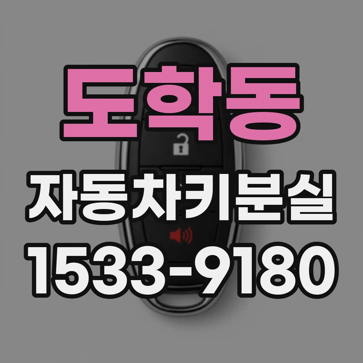 도학동 자동차키분실