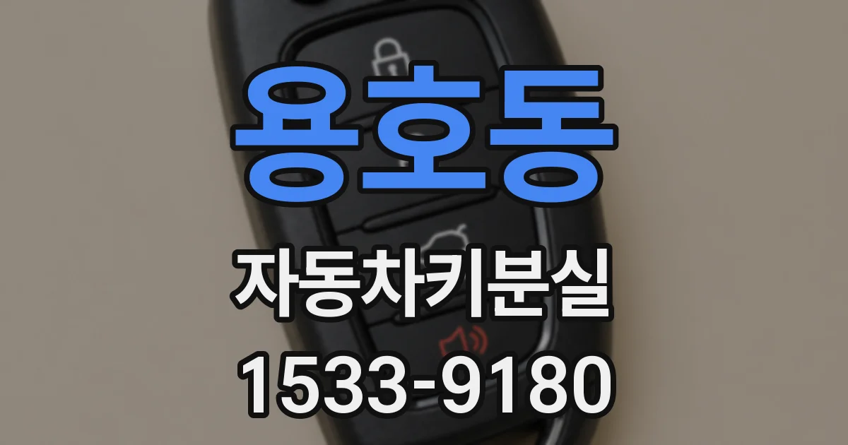용호동 자동차키분실