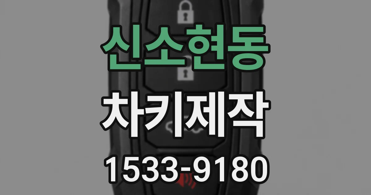 신소현동 차키제작