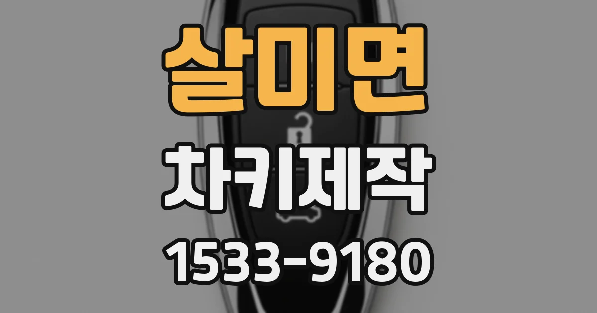 살미면 차키제작