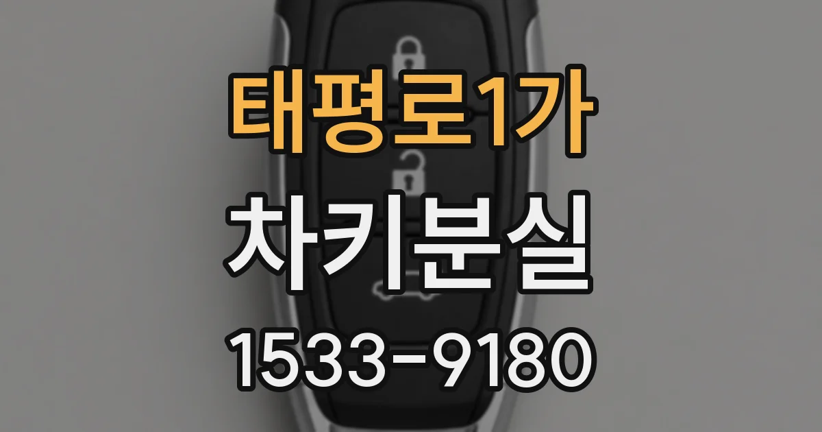 태평로1가 차키분실