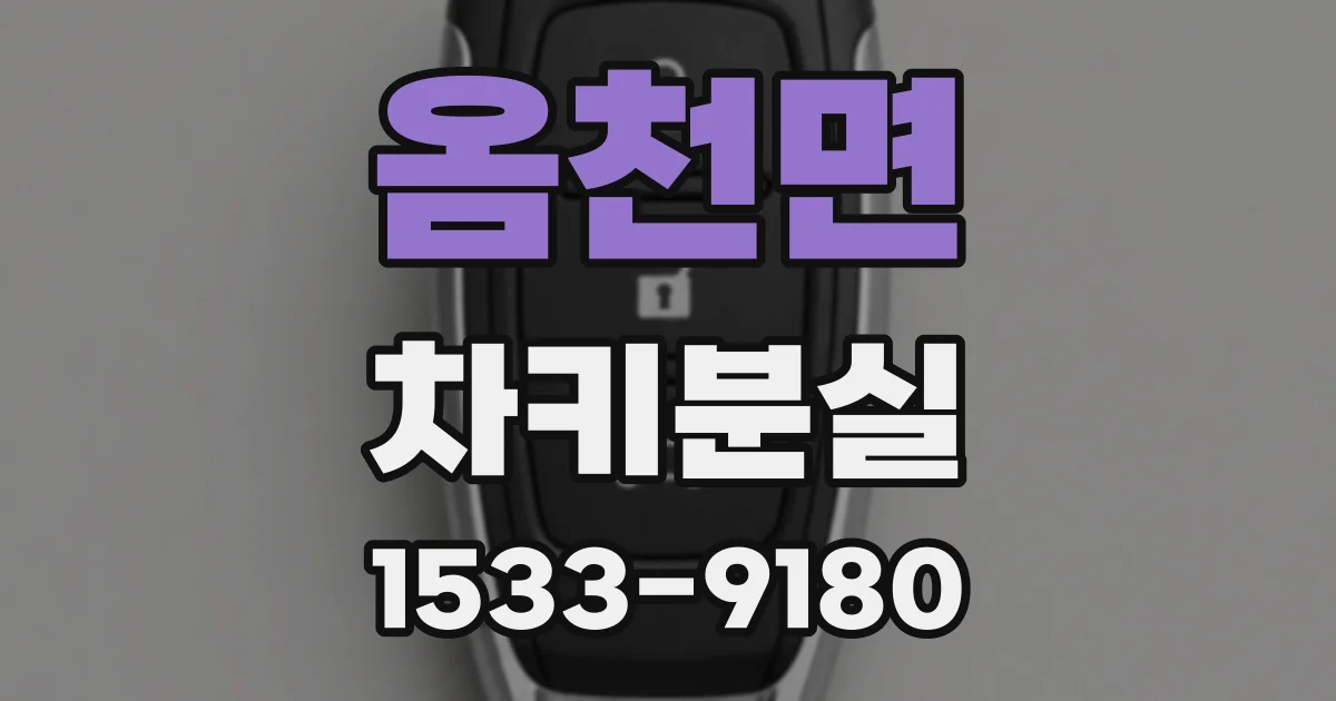 옴천면 차키분실