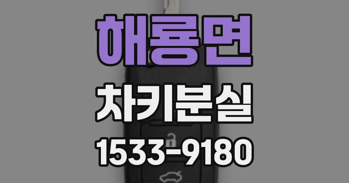 해룡면 차키분실