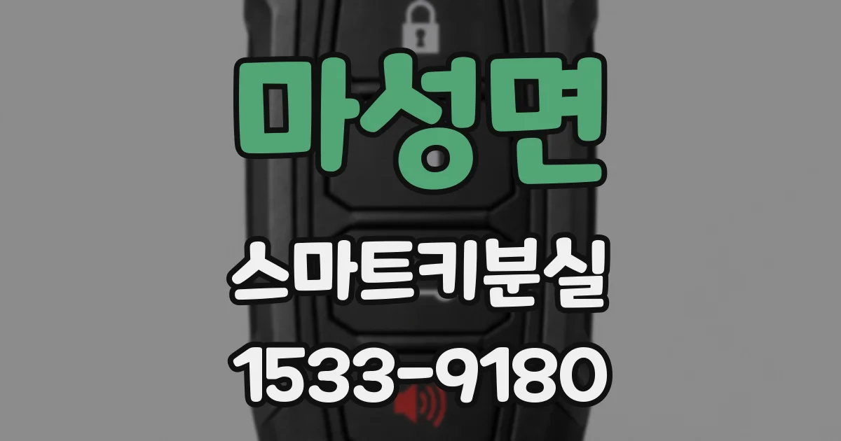 마성면 스마트키분실