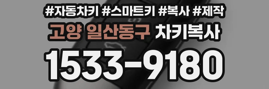 고양 일산동구 차키복사