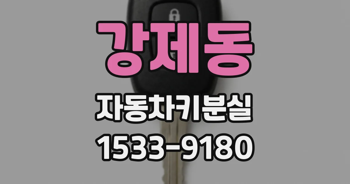 강제동 자동차키분실