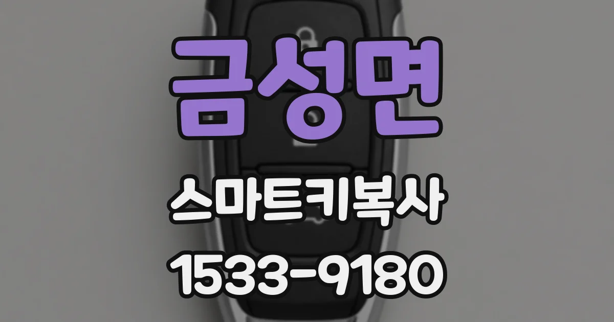 금성면 스마트키복사