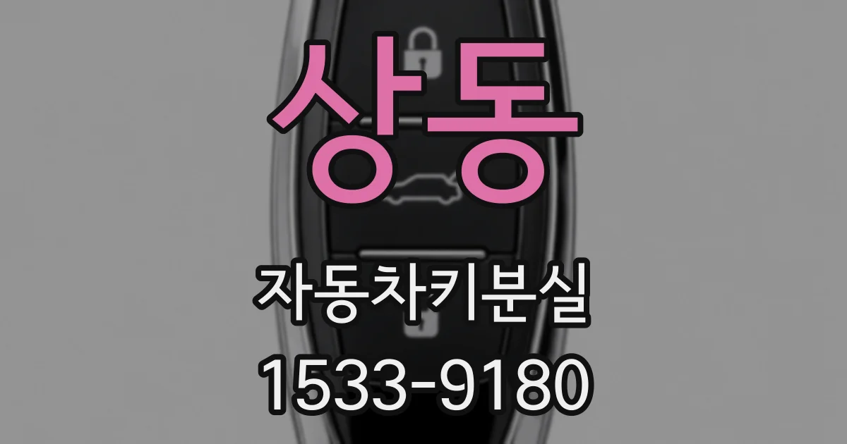 상동 자동차키분실