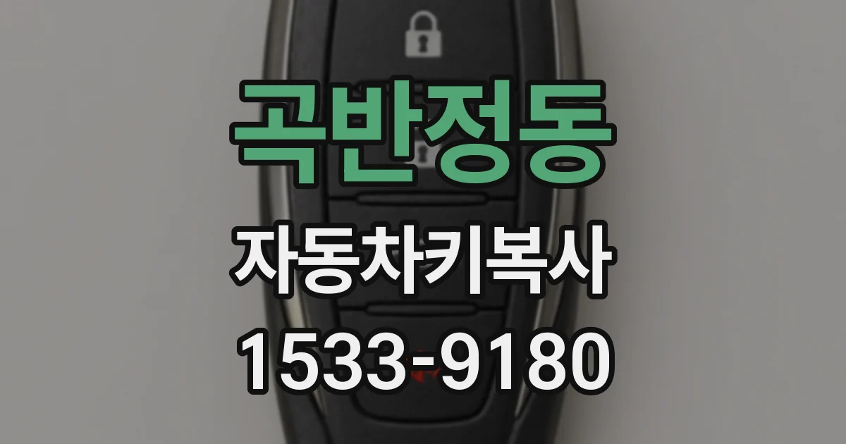 곡반정동 자동차키복사