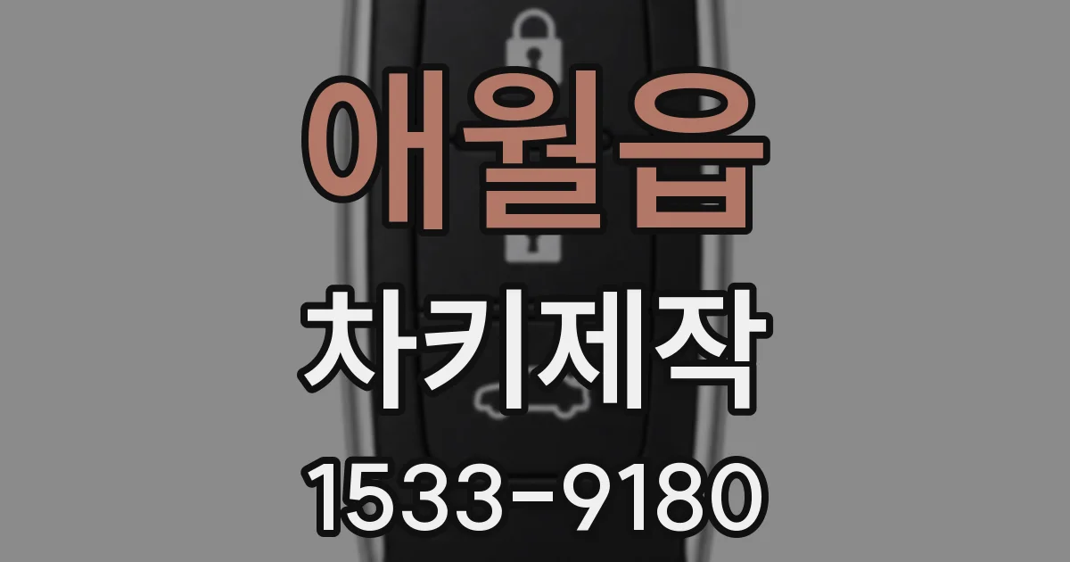 애월읍 차키제작
