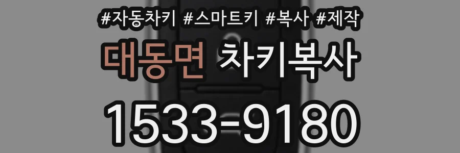대동면 차키복사