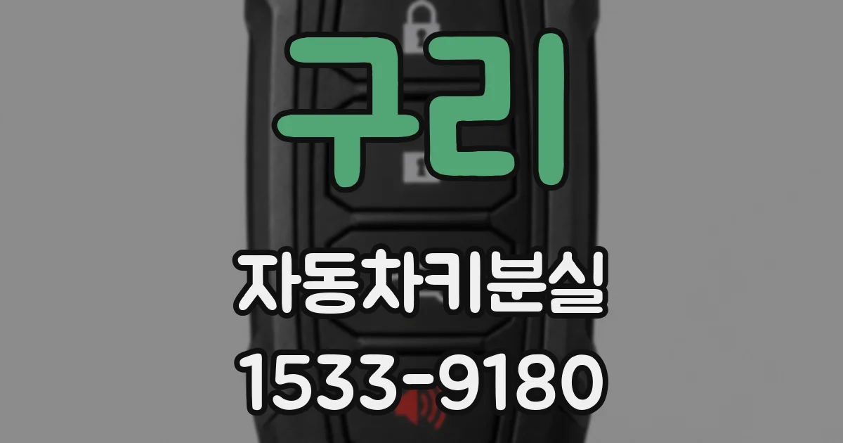 구리 자동차키분실