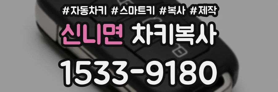 신니면 차키복사