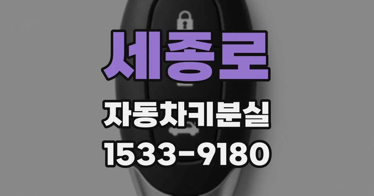 세종로 자동차키분실