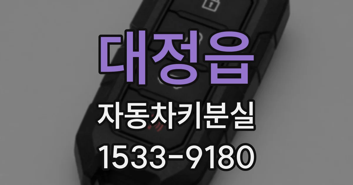 대정읍 자동차키분실