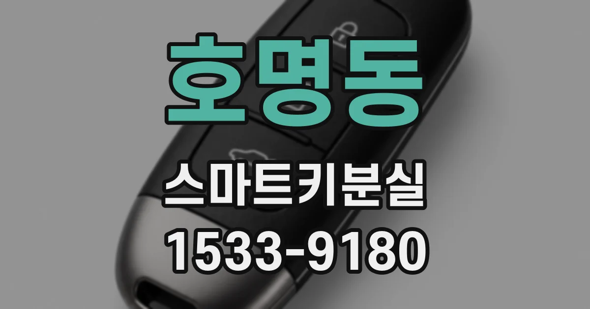 호명동 스마트키분실