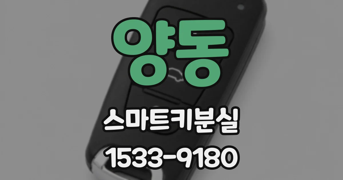 양동 스마트키분실