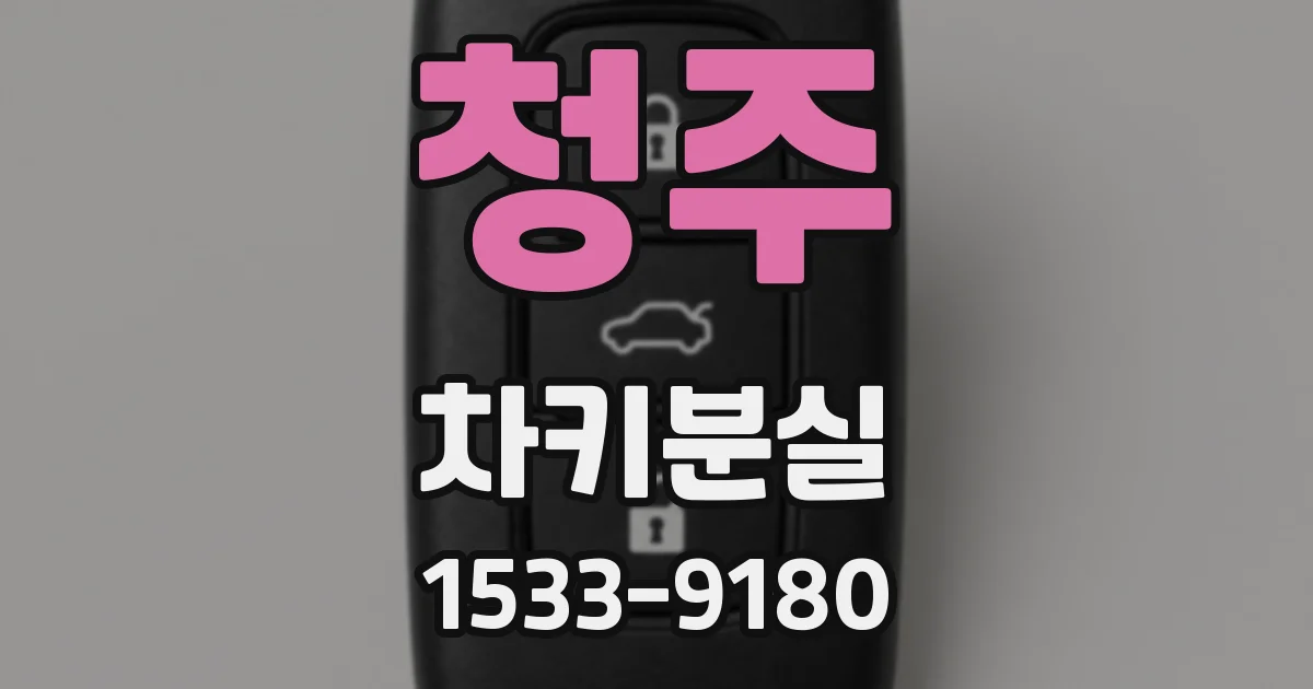 청주 차키분실