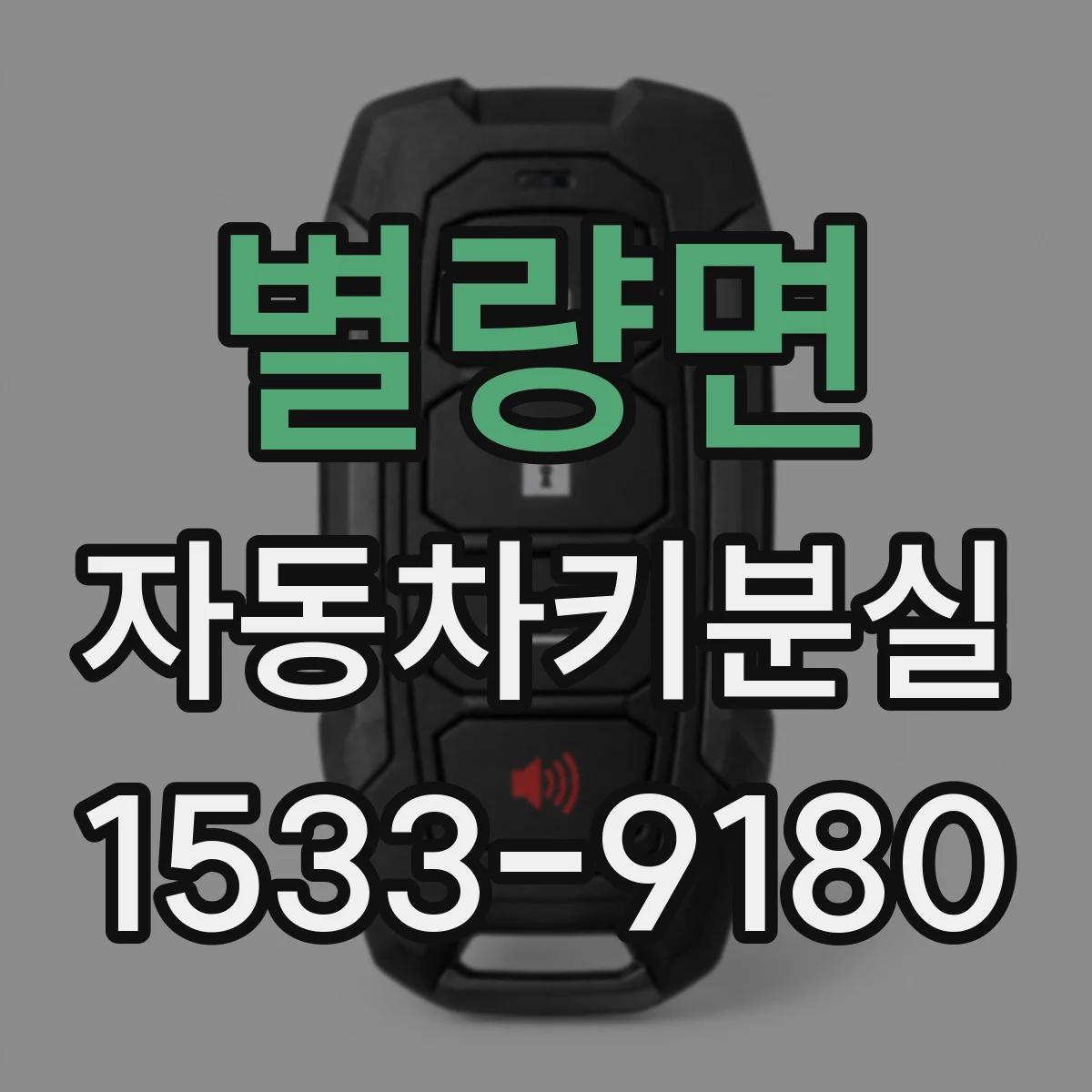 별량면 자동차키분실