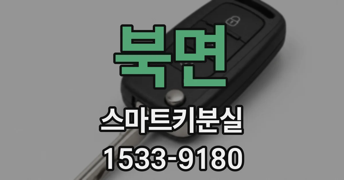 북면 스마트키분실