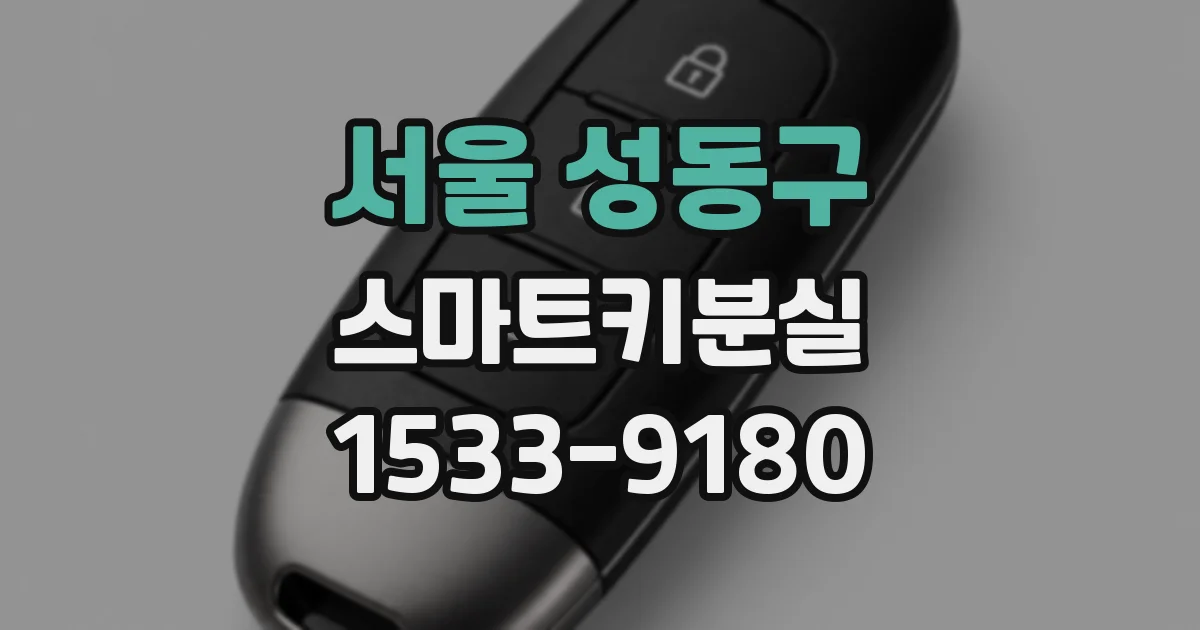 서울 성동구 스마트키분실