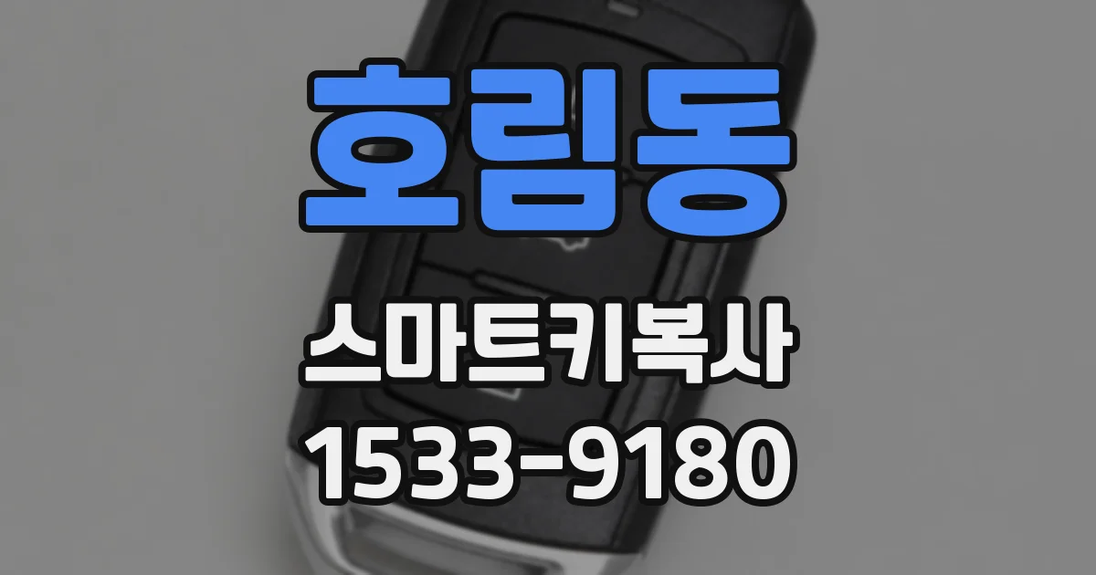 호림동 스마트키복사