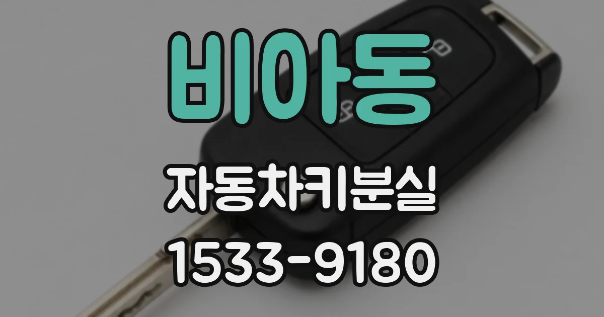 비아동 자동차키분실