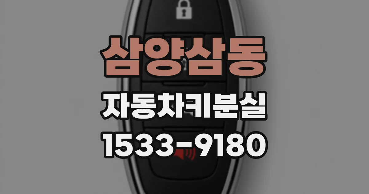삼양삼동 자동차키분실