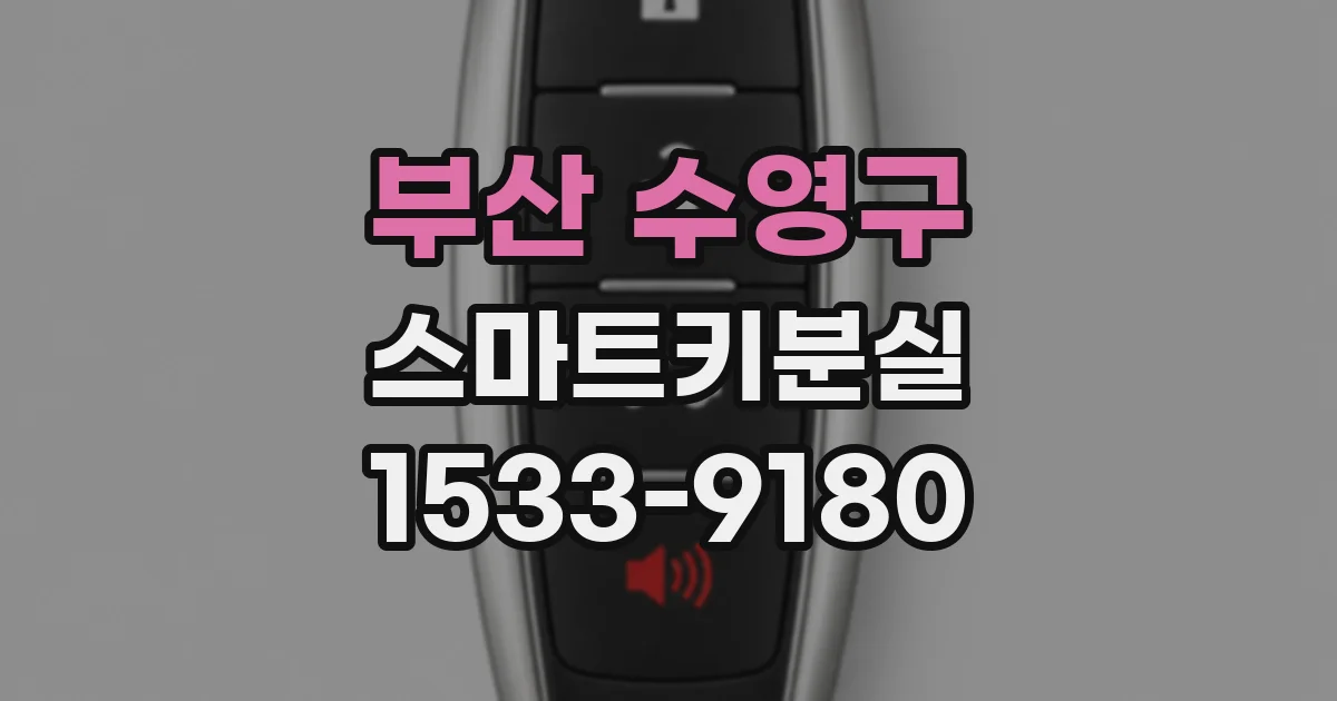 부산 수영구 스마트키분실