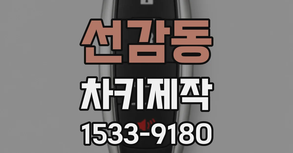 선감동 차키제작